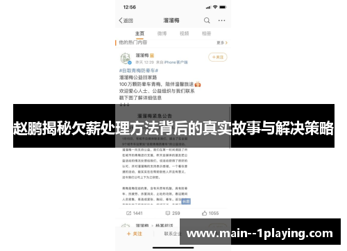 赵鹏揭秘欠薪处理方法背后的真实故事与解决策略