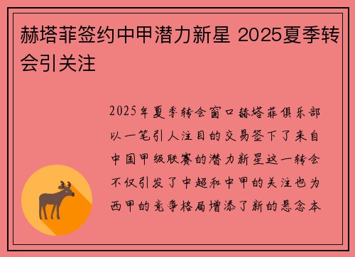 赫塔菲签约中甲潜力新星 2025夏季转会引关注
