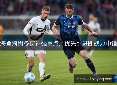 海登海姆冬窗补强重点，优先引进即战力中锋